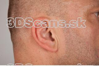 Ear texture of Dale 0001